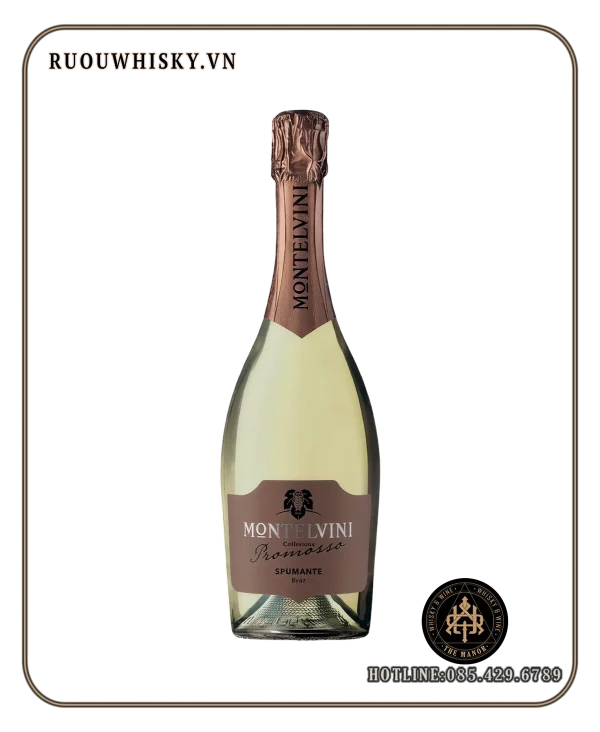 MONTELVINI PROMOSSO SPUMANTE BRUT 11,5% ruou vang no MONTELVINI PROMOSSO SPUMANTE BRUT